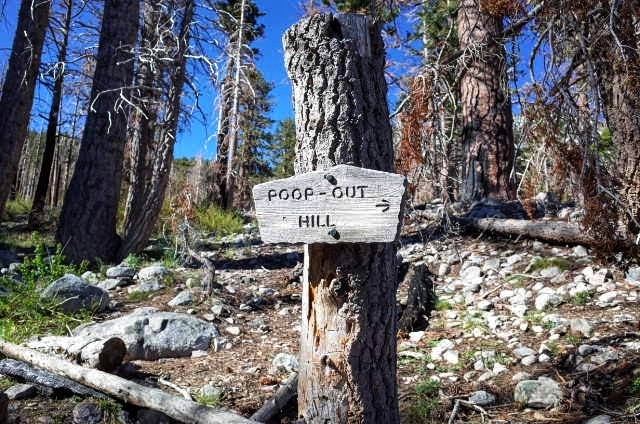 The junction to Poop-Out Hill.