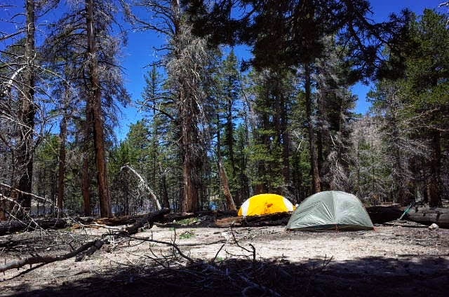 Our tents. We made sure they were more than 200 feet from the edge of the lake.