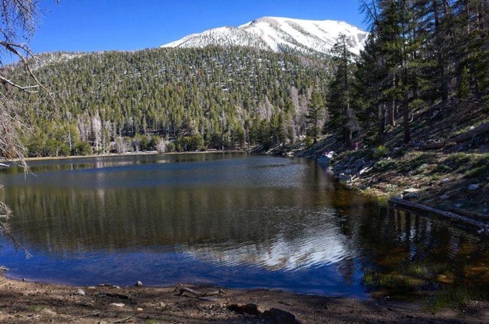 Backpacking to Dry Lake - San Gorgonio Wilderness - A 2 night trip.