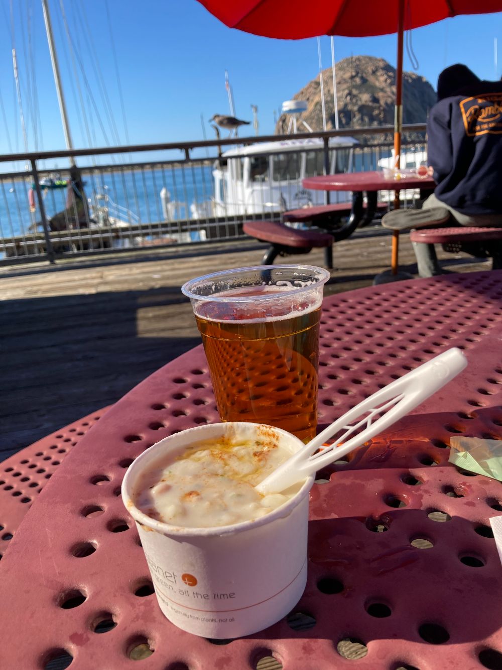 An afternoon in Morro Bay